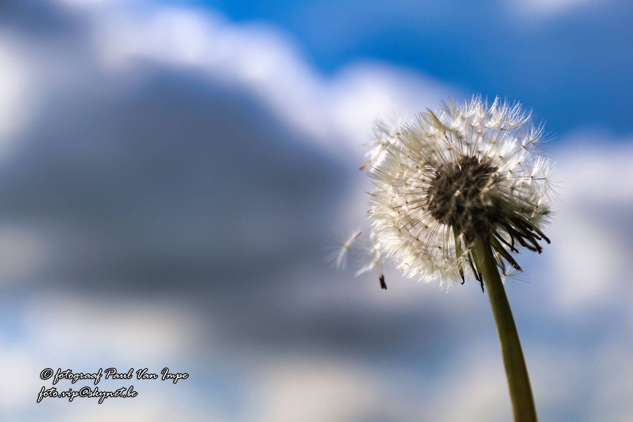 Natuur 11