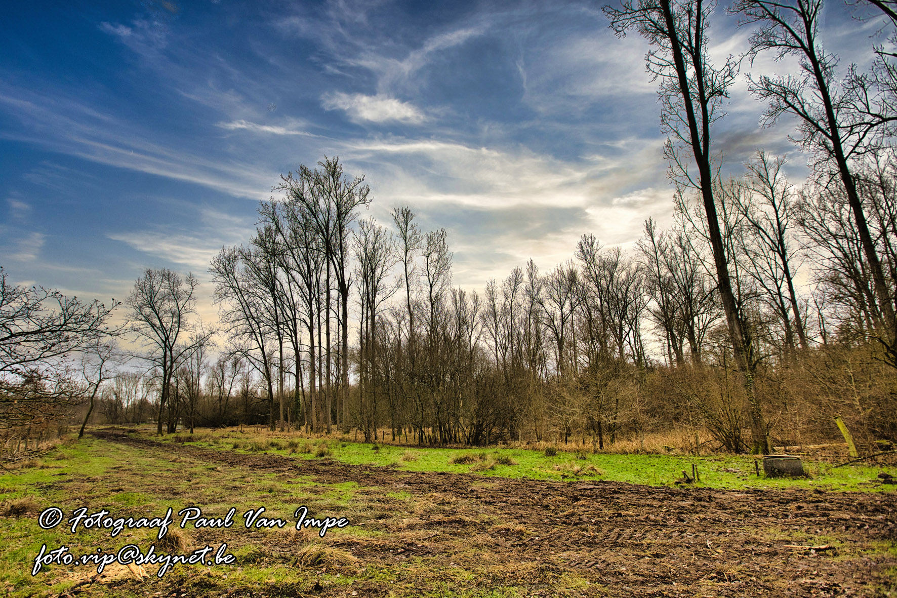 Natuur 4